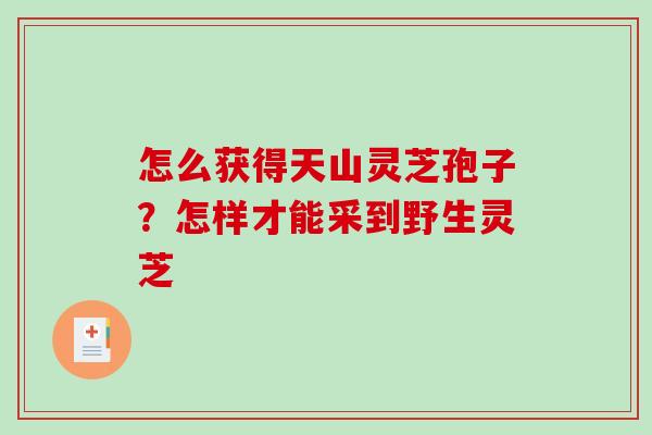 怎么获得天山灵芝孢子？怎样才能采到野生灵芝-第1张图片-破壁灵芝孢子粉研究指南