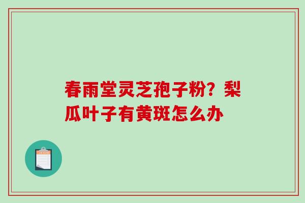 春雨堂灵芝孢子粉?梨瓜叶子有黄斑怎么办-第1张图片-破壁灵芝孢子粉研究指南 春雨堂灵芝孢子粉?梨瓜叶子有黄斑怎么办-第1张图片-破壁灵芝孢子粉研究指南