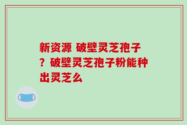 新资源 破壁灵芝孢子？破壁灵芝孢子粉能种出灵芝么-第1张图片-破壁灵芝孢子粉研究指南