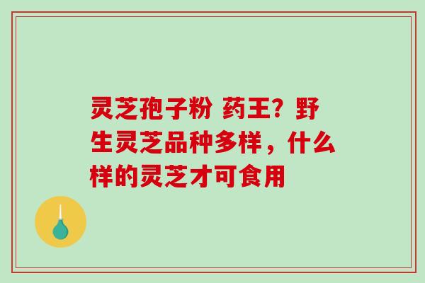 灵芝孢子粉 药王?野生灵芝品种多样,什么样的灵芝才可食用-第1张图片-破壁灵芝孢子粉研究指南 灵芝孢子粉 药王?野生灵芝品种多样,什么样的灵芝才可食用-第1张图片-破壁灵芝孢子粉研究指南