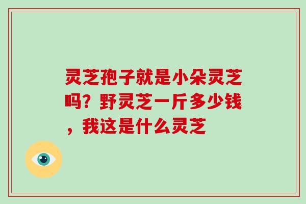 灵芝孢子就是小朵灵芝吗?野灵芝一斤多少钱,我这是什么灵芝-第1张图片-破壁灵芝孢子粉研究指南 灵芝孢子就是小朵灵芝吗?野灵芝一斤多少钱,我这是什么灵芝-第1张图片-破壁灵芝孢子粉研究指南