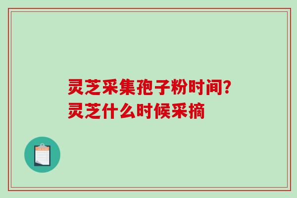 灵芝采集孢子粉时间?灵芝什么时候采摘-第1张图片-破壁灵芝孢子粉研究指南 灵芝采集孢子粉时间?灵芝什么时候采摘-第1张图片-破壁灵芝孢子粉研究指南