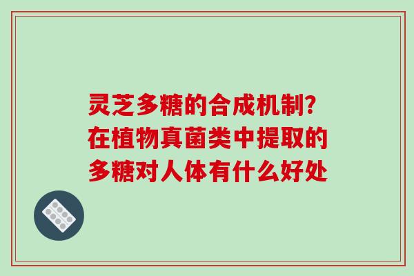 灵芝多糖的合成机制?在植物真菌类中提取的多糖对人体有什么好处-第1张图片-破壁灵芝孢子粉研究指南 灵芝多糖的合成机制?在植物真菌类中提取的多糖对人体有什么好处-第1张图片-破壁灵芝孢子粉研究指南