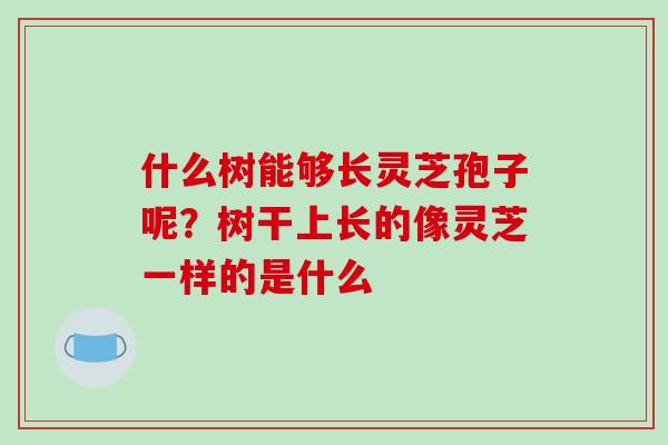 什么树能够长灵芝孢子呢?树干上长的像灵芝一样的是什么-第1张图片-破壁灵芝孢子粉研究指南 什么树能够长灵芝孢子呢?树干上长的像灵芝一样的是什么-第1张图片-破壁灵芝孢子粉研究指南