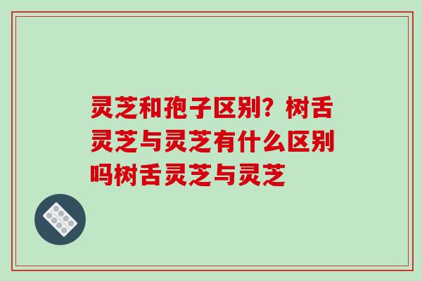 灵芝和孢子区别?树舌灵芝与灵芝有什么区别吗树舌灵芝与灵芝-第1张图片-破壁灵芝孢子粉研究指南 灵芝和孢子区别?树舌灵芝与灵芝有什么区别吗树舌灵芝与灵芝-第1张图片-破壁灵芝孢子粉研究指南