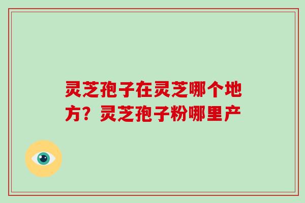 灵芝孢子在灵芝哪个地方?灵芝孢子粉哪里产-第1张图片-破壁灵芝孢子粉研究指南 灵芝孢子在灵芝哪个地方?灵芝孢子粉哪里产-第1张图片-破壁灵芝孢子粉研究指南