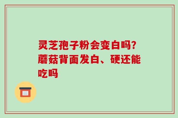灵芝孢子粉会变白吗?蘑菇背面发白、硬还能吃吗-第1张图片-破壁灵芝孢子粉研究指南 灵芝孢子粉会变白吗?蘑菇背面发白、硬还能吃吗-第1张图片-破壁灵芝孢子粉研究指南