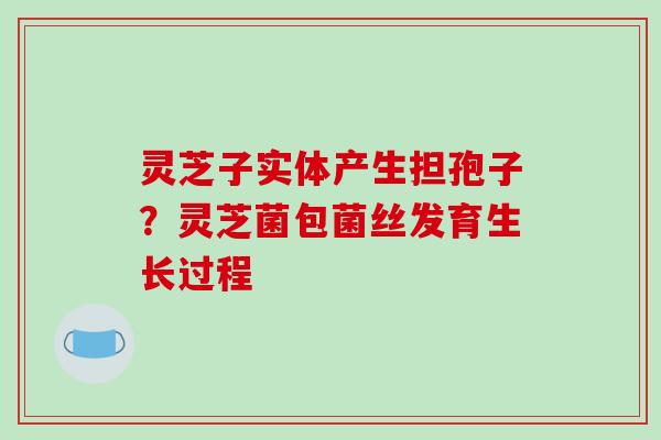 灵芝子实体产生担孢子?灵芝菌包菌丝发育生长过程-第1张图片-破壁灵芝孢子粉研究指南 灵芝子实体产生担孢子?灵芝菌包菌丝发育生长过程-第1张图片-破壁灵芝孢子粉研究指南