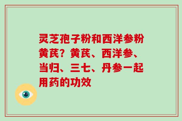 灵芝孢子粉和西洋参粉黄芪?黄芪、西洋参、当归、三七、丹参一起用药的功效-第1张图片-破壁灵芝孢子粉研究指南 灵芝孢子粉和西洋参粉黄芪?黄芪、西洋参、当归、三七、丹参一起用药的功效-第1张图片-破壁灵芝孢子粉研究指南