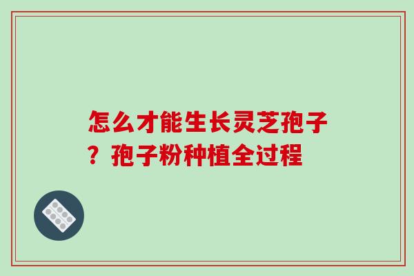 怎么才能生长灵芝孢子?孢子粉种植全过程-第1张图片-破壁灵芝孢子粉研究指南 怎么才能生长灵芝孢子?孢子粉种植全过程-第1张图片-破壁灵芝孢子粉研究指南