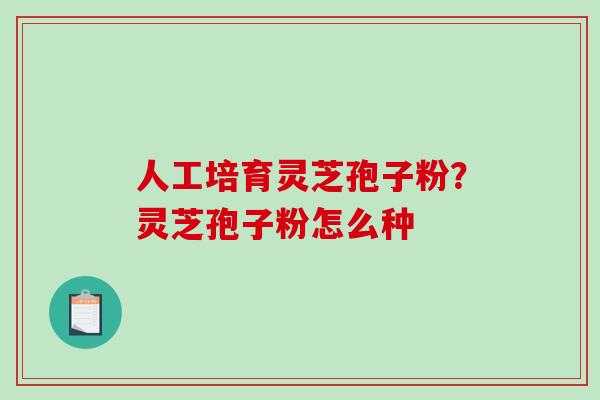 人工培育灵芝孢子粉?灵芝孢子粉怎么种-第1张图片-破壁灵芝孢子粉研究指南 人工培育灵芝孢子粉?灵芝孢子粉怎么种-第1张图片-破壁灵芝孢子粉研究指南