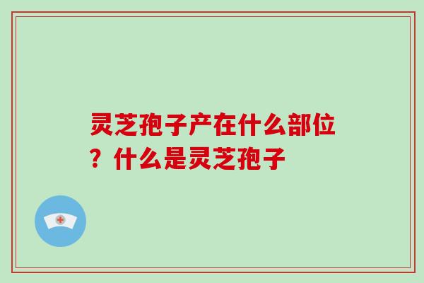 灵芝孢子产在什么部位?什么是灵芝孢子-第1张图片-破壁灵芝孢子粉研究指南 灵芝孢子产在什么部位?什么是灵芝孢子-第1张图片-破壁灵芝孢子粉研究指南