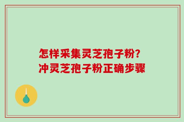 怎样采集灵芝孢子粉？冲灵芝孢子粉正确步骤-第1张图片-破壁灵芝孢子粉研究指南