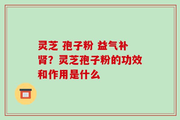 灵芝 孢子粉 益气补肾?灵芝孢子粉的功效和作用是什么-第1张图片-破壁灵芝孢子粉研究指南 灵芝 孢子粉 益气补肾?灵芝孢子粉的功效和作用是什么-第1张图片-破壁灵芝孢子粉研究指南