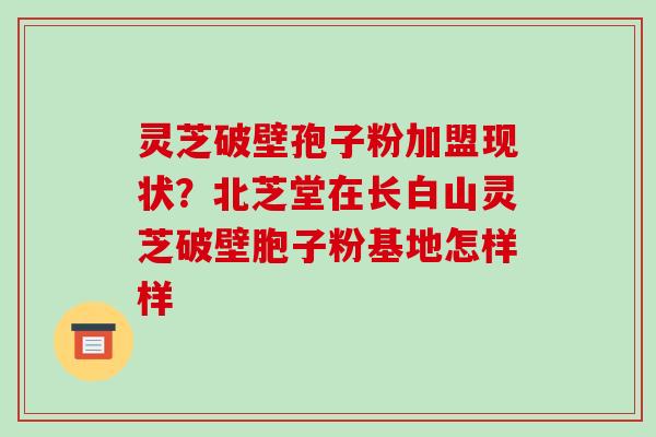 灵芝破壁孢子粉加盟现状？北芝堂在长白山灵芝破壁胞子粉基地怎样样-第1张图片-破壁灵芝孢子粉研究指南