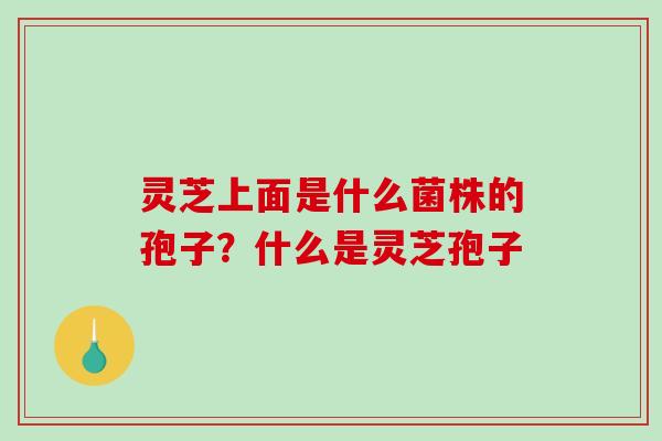 灵芝上面是什么菌株的孢子?什么是灵芝孢子-第1张图片-破壁灵芝孢子粉研究指南 灵芝上面是什么菌株的孢子?什么是灵芝孢子-第1张图片-破壁灵芝孢子粉研究指南