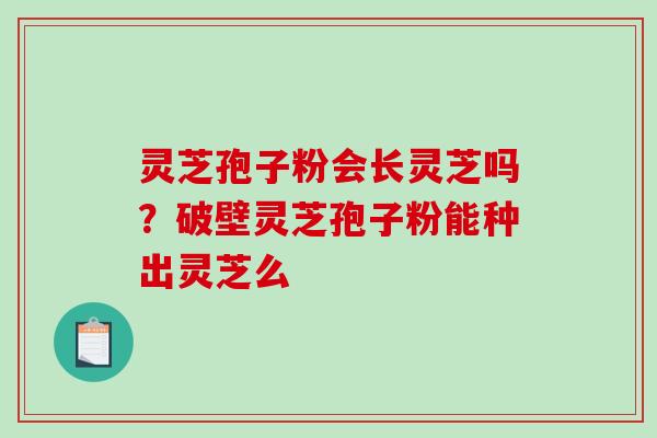 灵芝孢子粉会长灵芝吗?破壁灵芝孢子粉能种出灵芝么-第1张图片-破壁灵芝孢子粉研究指南 灵芝孢子粉会长灵芝吗?破壁灵芝孢子粉能种出灵芝么-第1张图片-破壁灵芝孢子粉研究指南