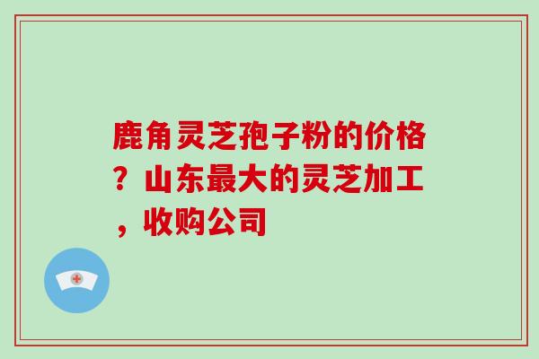 鹿角灵芝孢子粉的价格?山东最大的灵芝加工,收购公司-第1张图片-破壁灵芝孢子粉研究指南 鹿角灵芝孢子粉的价格?山东最大的灵芝加工,收购公司-第1张图片-破壁灵芝孢子粉研究指南