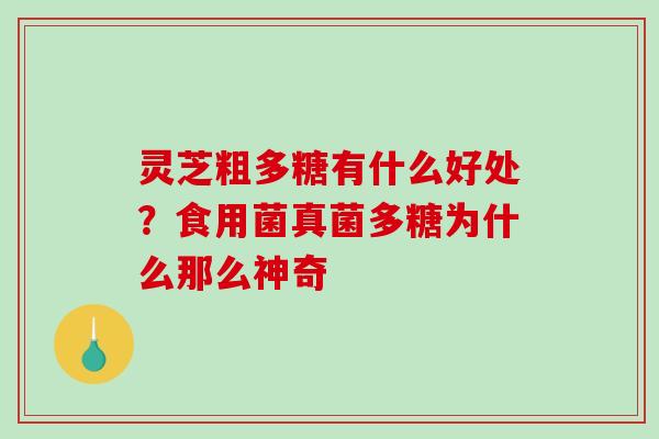 灵芝粗多糖有什么好处?食用菌真菌多糖为什么那么神奇-第1张图片-破壁灵芝孢子粉研究指南 灵芝粗多糖有什么好处?食用菌真菌多糖为什么那么神奇-第1张图片-破壁灵芝孢子粉研究指南