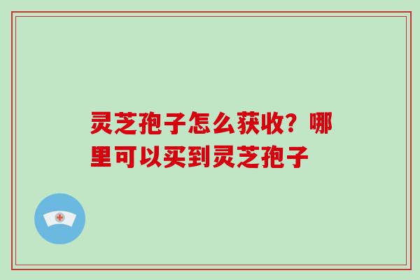 灵芝孢子怎么获收?哪里可以买到灵芝孢子-第1张图片-破壁灵芝孢子粉研究指南 灵芝孢子怎么获收?哪里可以买到灵芝孢子-第1张图片-破壁灵芝孢子粉研究指南