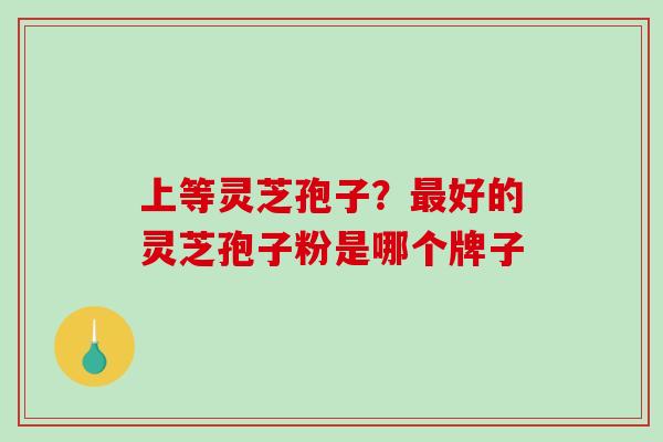 上等灵芝孢子？最好的灵芝孢子粉是哪个牌子-第1张图片-破壁灵芝孢子粉研究指南