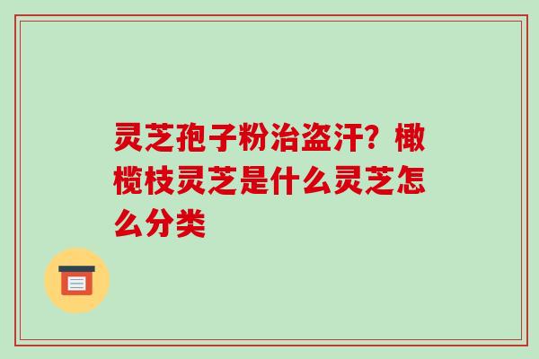 灵芝孢子粉治盗汗?橄榄枝灵芝是什么灵芝怎么分类-第1张图片-破壁灵芝孢子粉研究指南 灵芝孢子粉治盗汗?橄榄枝灵芝是什么灵芝怎么分类-第1张图片-破壁灵芝孢子粉研究指南