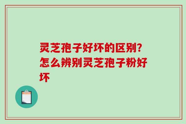 灵芝孢子好坏的区别?怎么辨别灵芝孢子粉好坏-第1张图片-破壁灵芝孢子粉研究指南 灵芝孢子好坏的区别?怎么辨别灵芝孢子粉好坏-第1张图片-破壁灵芝孢子粉研究指南