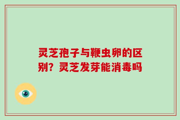 灵芝孢子与鞭虫卵的区别？灵芝发芽能消毒吗-第1张图片-破壁灵芝孢子粉研究指南
