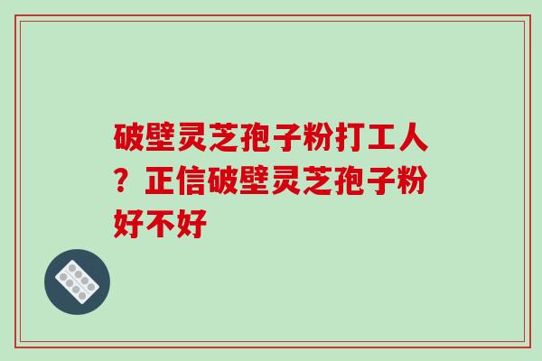 破壁灵芝孢子粉打工人?正信破壁灵芝孢子粉好不好-第1张图片-破壁灵芝孢子粉研究指南 破壁灵芝孢子粉打工人?正信破壁灵芝孢子粉好不好-第1张图片-破壁灵芝孢子粉研究指南