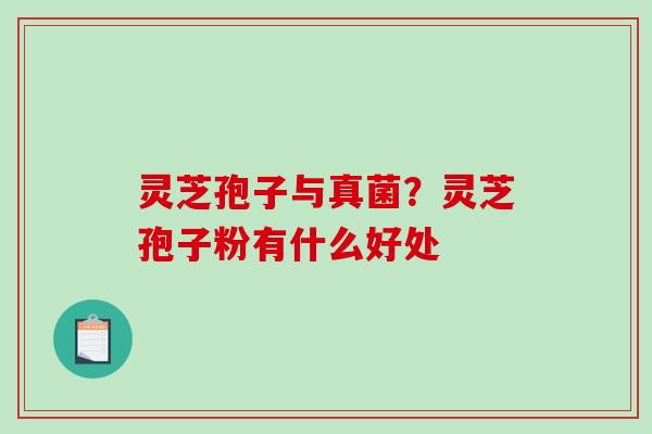 灵芝孢子与真菌?灵芝孢子粉有什么好处-第1张图片-破壁灵芝孢子粉研究指南 灵芝孢子与真菌?灵芝孢子粉有什么好处-第1张图片-破壁灵芝孢子粉研究指南