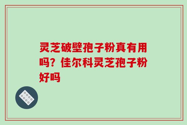灵芝破壁孢子粉真有用吗?佳尔科灵芝孢子粉好吗-第1张图片-破壁灵芝孢子粉研究指南 灵芝破壁孢子粉真有用吗?佳尔科灵芝孢子粉好吗-第1张图片-破壁灵芝孢子粉研究指南
