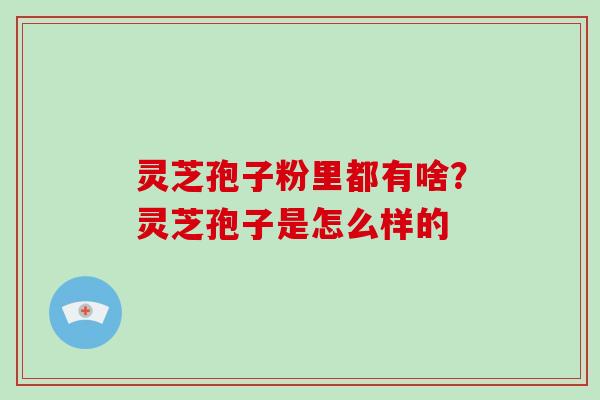 灵芝孢子粉里都有啥?灵芝孢子是怎么样的-第1张图片-破壁灵芝孢子粉研究指南 灵芝孢子粉里都有啥?灵芝孢子是怎么样的-第1张图片-破壁灵芝孢子粉研究指南