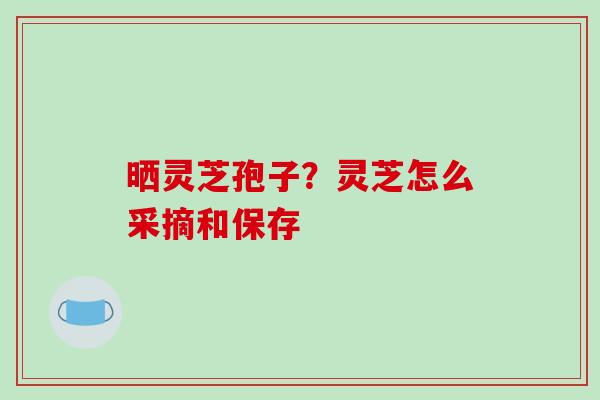 晒灵芝孢子?灵芝怎么采摘和保存-第1张图片-破壁灵芝孢子粉研究指南 晒灵芝孢子?灵芝怎么采摘和保存-第1张图片-破壁灵芝孢子粉研究指南