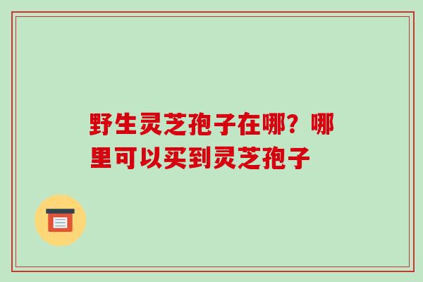 野生灵芝孢子在哪?哪里可以买到灵芝孢子-第1张图片-破壁灵芝孢子粉研究指南 野生灵芝孢子在哪?哪里可以买到灵芝孢子-第1张图片-破壁灵芝孢子粉研究指南