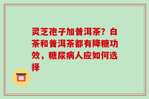 灵芝孢子加普洱茶？白茶和普洱茶都有降糖功效，糖尿病人应如何选择-第1张图片-破壁灵芝孢子粉研究指南