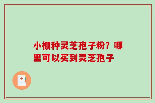 小棚种灵芝孢子粉?哪里可以买到灵芝孢子-第1张图片-破壁灵芝孢子粉研究指南 小棚种灵芝孢子粉?哪里可以买到灵芝孢子-第1张图片-破壁灵芝孢子粉研究指南