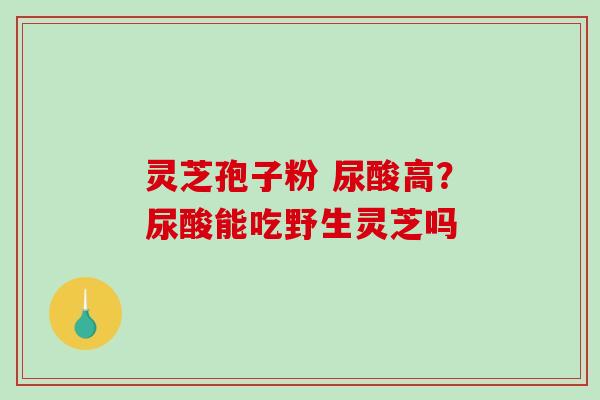 灵芝孢子粉 尿酸高?尿酸能吃野生灵芝吗-第1张图片-破壁灵芝孢子粉研究指南 灵芝孢子粉 尿酸高?尿酸能吃野生灵芝吗-第1张图片-破壁灵芝孢子粉研究指南