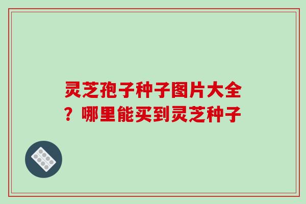 灵芝孢子种子图片大全?哪里能买到灵芝种子-第1张图片-破壁灵芝孢子粉研究指南 灵芝孢子种子图片大全?哪里能买到灵芝种子-第1张图片-破壁灵芝孢子粉研究指南