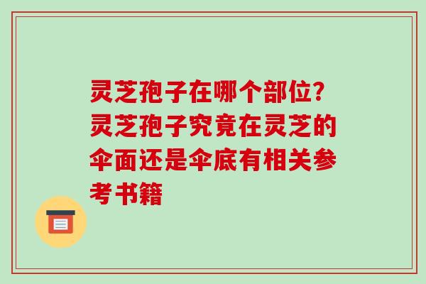 灵芝孢子在哪个部位？灵芝孢子究竟在灵芝的伞面还是伞底有相关参考书籍-第1张图片-破壁灵芝孢子粉研究指南