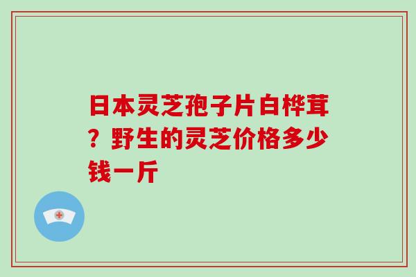 日本灵芝孢子片白桦茸?野生的灵芝价格多少钱一斤-第1张图片-破壁灵芝孢子粉研究指南 日本灵芝孢子片白桦茸?野生的灵芝价格多少钱一斤-第1张图片-破壁灵芝孢子粉研究指南