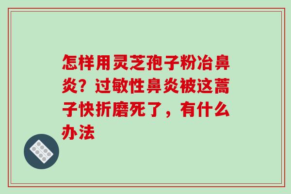 怎样用灵芝孢子粉冶鼻炎?过敏性鼻炎被这蒿子快折磨死了,有什么办法-第1张图片-破壁灵芝孢子粉研究指南 怎样用灵芝孢子粉冶鼻炎?过敏性鼻炎被这蒿子快折磨死了,有什么办法-第1张图片-破壁灵芝孢子粉研究指南