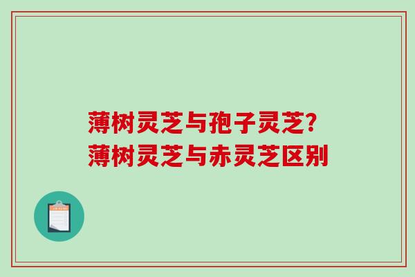 薄树灵芝与孢子灵芝?薄树灵芝与赤灵芝区别-第1张图片-破壁灵芝孢子粉研究指南 薄树灵芝与孢子灵芝?薄树灵芝与赤灵芝区别-第1张图片-破壁灵芝孢子粉研究指南