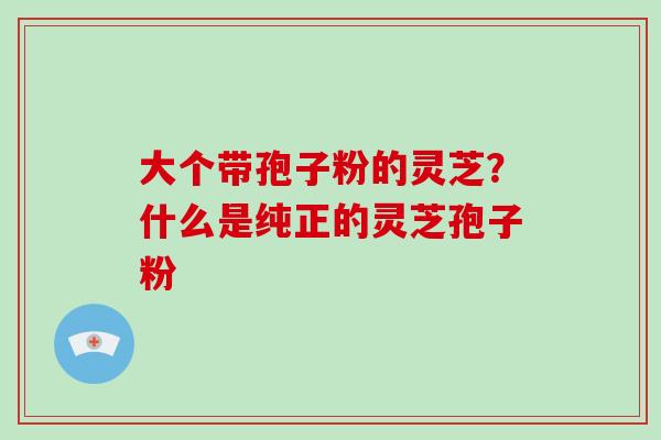 大个带孢子粉的灵芝?什么是纯正的灵芝孢子粉-第1张图片-破壁灵芝孢子粉研究指南 大个带孢子粉的灵芝?什么是纯正的灵芝孢子粉-第1张图片-破壁灵芝孢子粉研究指南