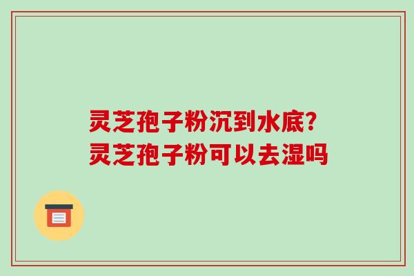灵芝孢子粉沉到水底？灵芝孢子粉可以去湿吗-第1张图片-破壁灵芝孢子粉研究指南