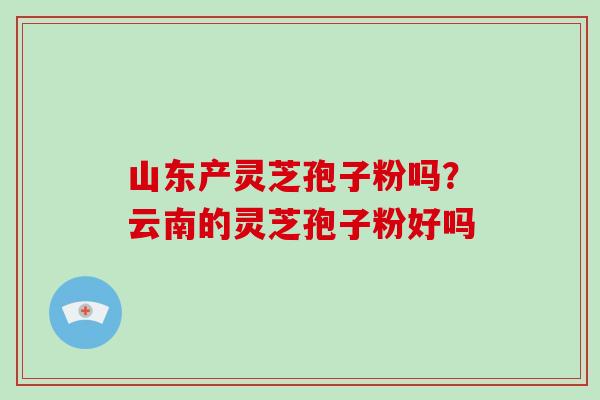 山东产灵芝孢子粉吗？云南的灵芝孢子粉好吗-第1张图片-破壁灵芝孢子粉研究指南