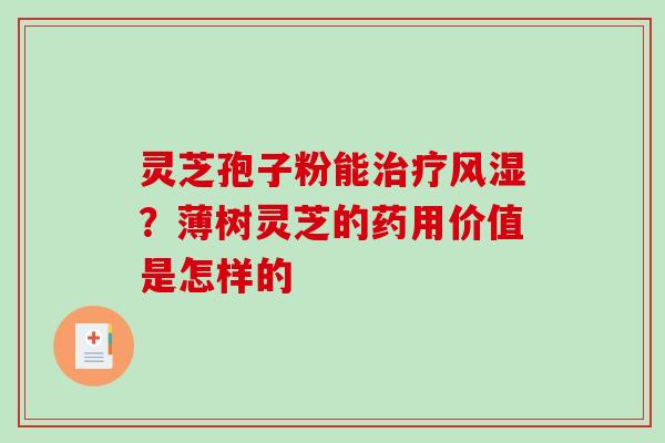 灵芝孢子粉能治疗风湿?薄树灵芝的药用价值是怎样的-第1张图片-破壁灵芝孢子粉研究指南 灵芝孢子粉能治疗风湿?薄树灵芝的药用价值是怎样的-第1张图片-破壁灵芝孢子粉研究指南