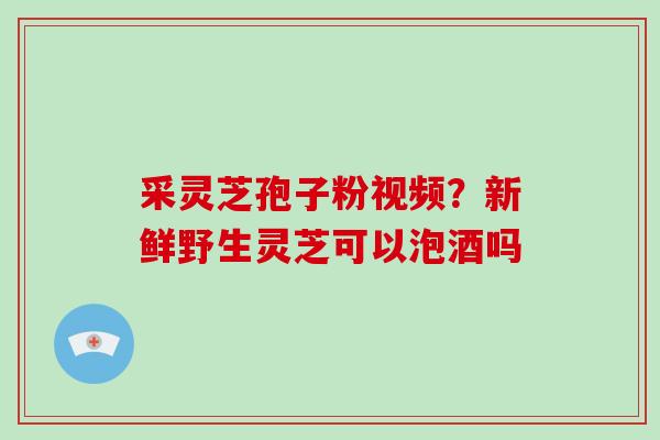 采灵芝孢子粉视频?新鲜野生灵芝可以泡酒吗-第1张图片-破壁灵芝孢子粉研究指南 采灵芝孢子粉视频?新鲜野生灵芝可以泡酒吗-第1张图片-破壁灵芝孢子粉研究指南