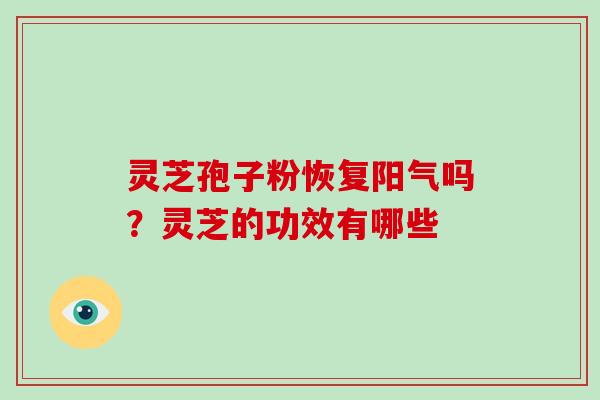 灵芝孢子粉恢复阳气吗？灵芝的功效有哪些-第1张图片-破壁灵芝孢子粉研究指南
