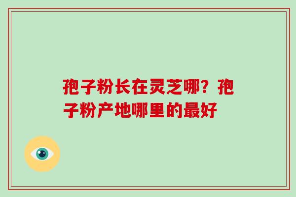 孢子粉长在灵芝哪?孢子粉产地哪里的最好-第1张图片-破壁灵芝孢子粉研究指南 孢子粉长在灵芝哪?孢子粉产地哪里的最好-第1张图片-破壁灵芝孢子粉研究指南