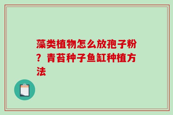 藻类植物怎么放孢子粉？青苔种子鱼缸种植方法-第1张图片-破壁灵芝孢子粉研究指南